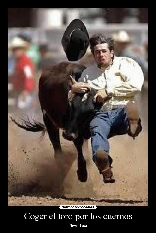 Coger el toro por los cuernos -
