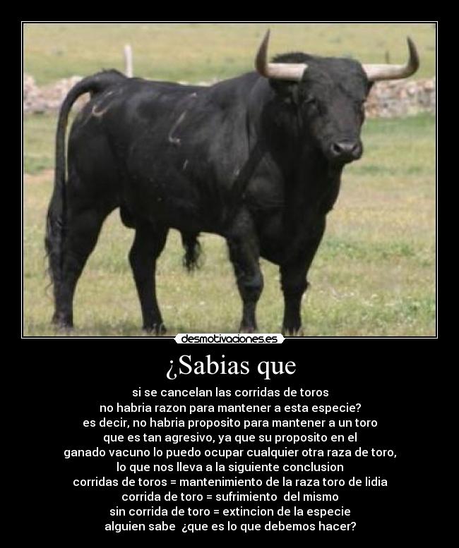 ¿Sabias que -