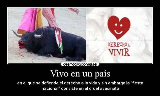 Vivo en un país - en el que se defiende el derecho a la vida y sin embargo la fiesta
nacional consiste en el cruel asesinato