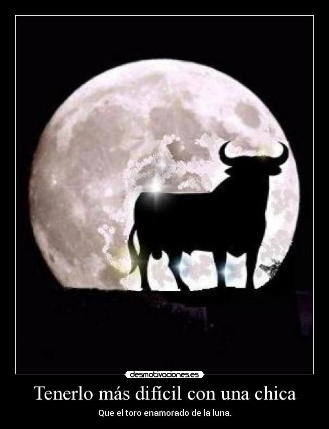 Tenerlo más difícil con una chica - Que el toro enamorado de la luna.