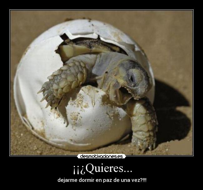 carteles quieres desmotivaciones