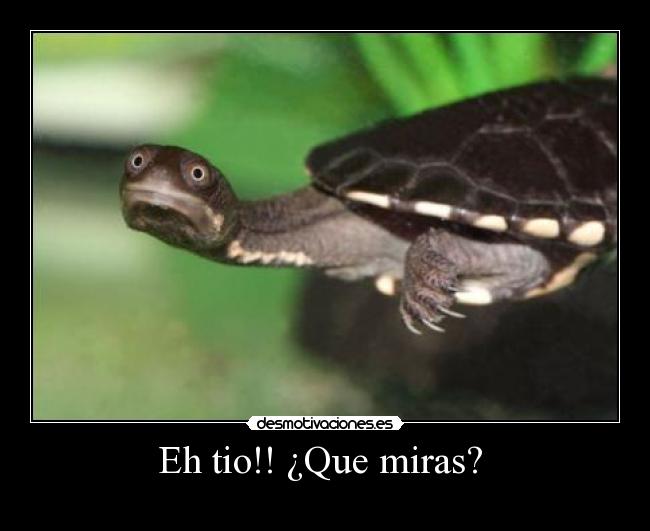 Eh tio!! ¿Que miras?  - 