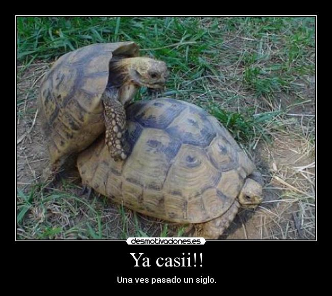 Ya casii!! -
