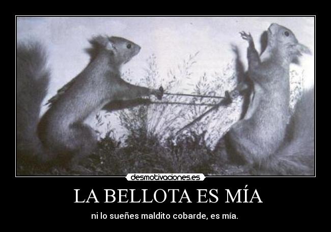  LA BELLOTA ES MÍA - 