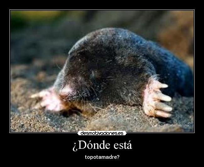 ¿Dónde está - topotamadre?