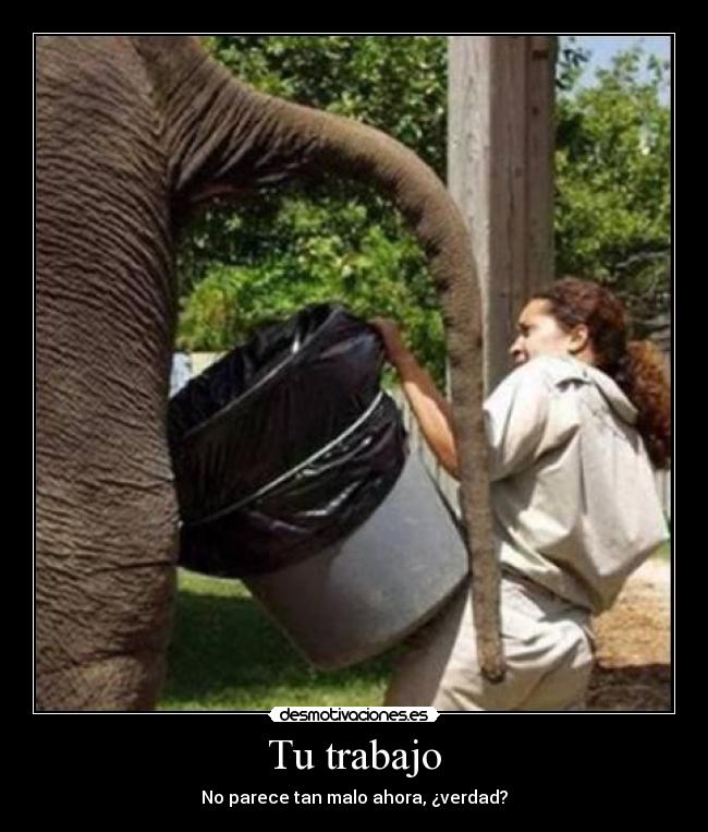 Tu trabajo -