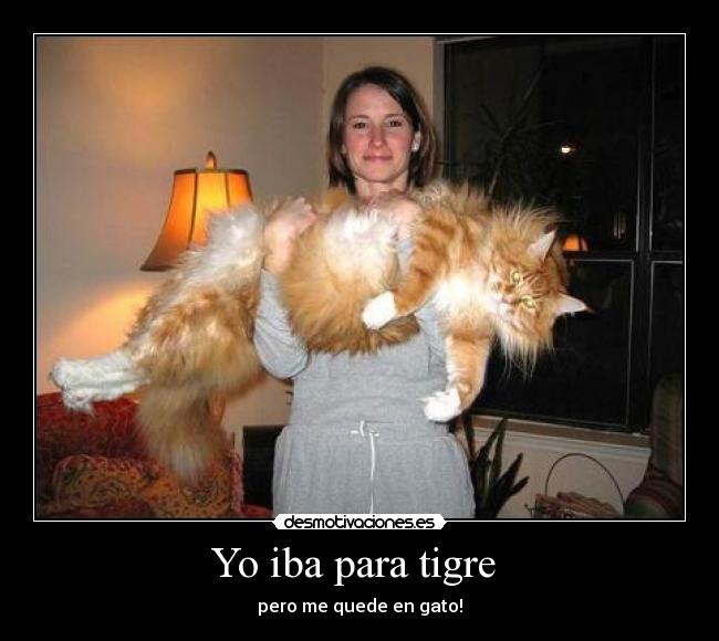 Yo iba para tigre  - 