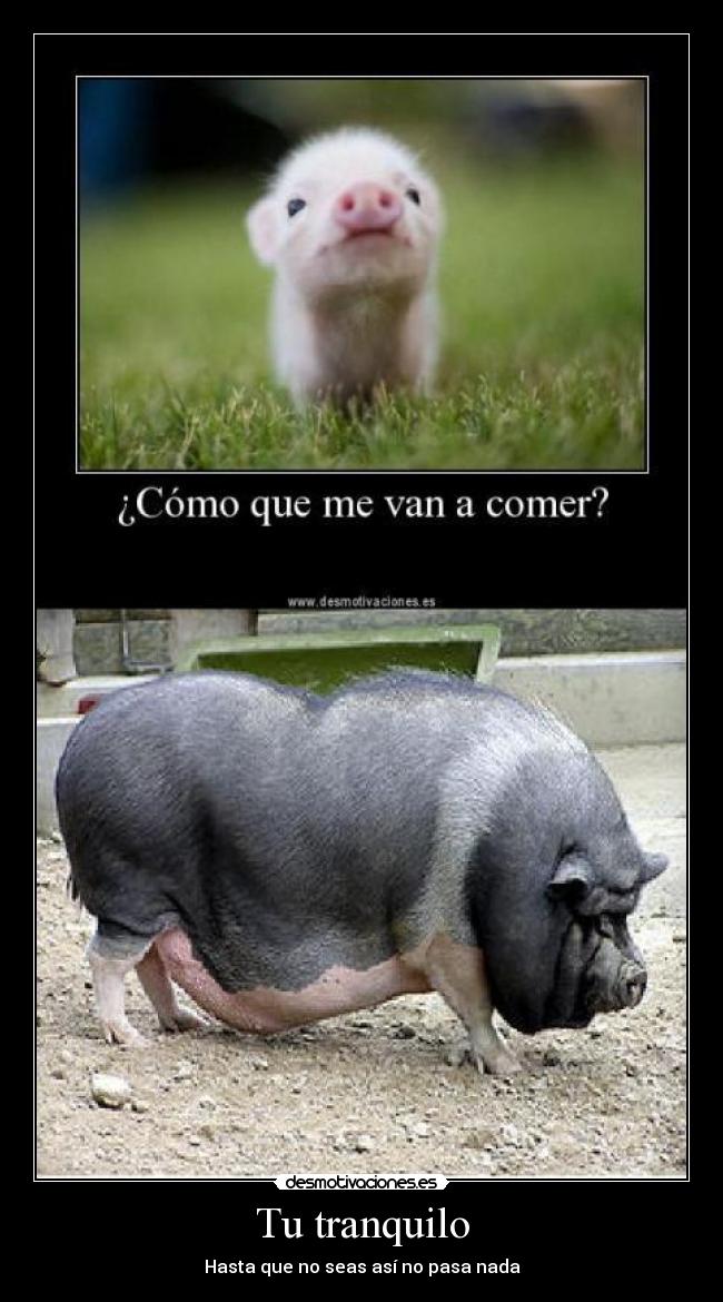 Tu tranquilo -
