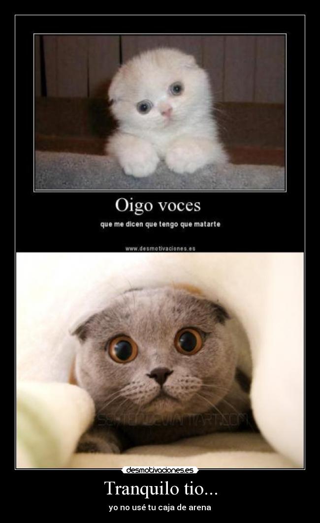Tranquilo tio... - yo no usé tu caja de arena