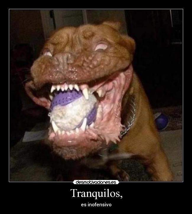 Tranquilos, - 