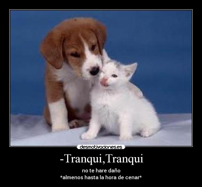 -Tranqui,Tranqui - no te hare daño
*almenos hasta la hora de cenar*