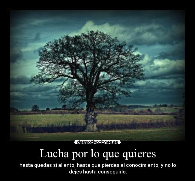 Lucha por lo que quieres - hasta quedas si aliento, hasta que pierdas el conocimiento, y no lo
dejes hasta conseguirlo.