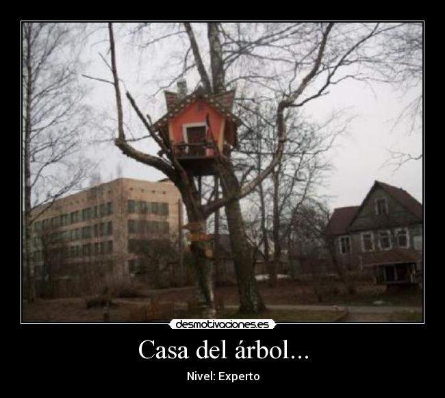 carteles casa casa arbol desmotivaciones