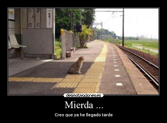 Mierda ... - 