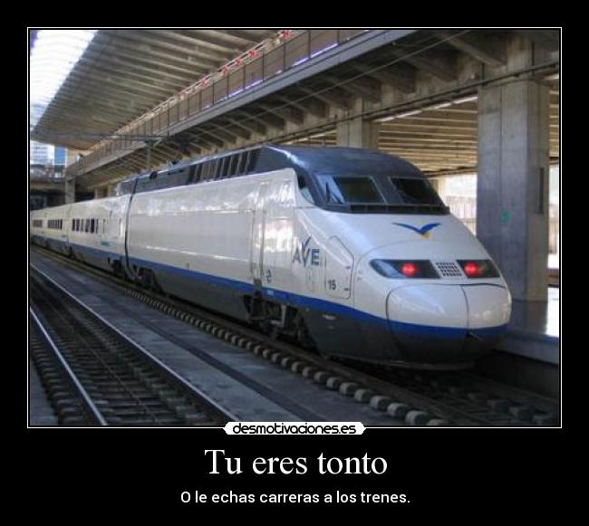Tu eres tonto -