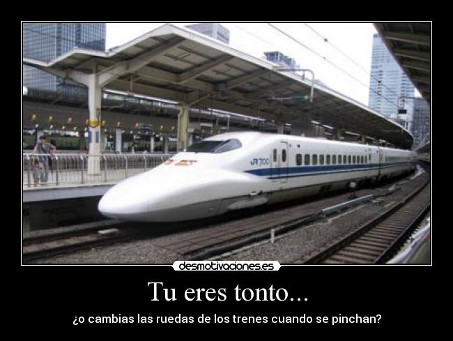 Tu eres tonto... -