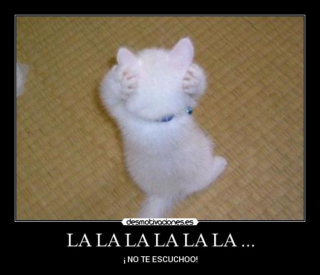 carteles gato escucha desmotivaciones