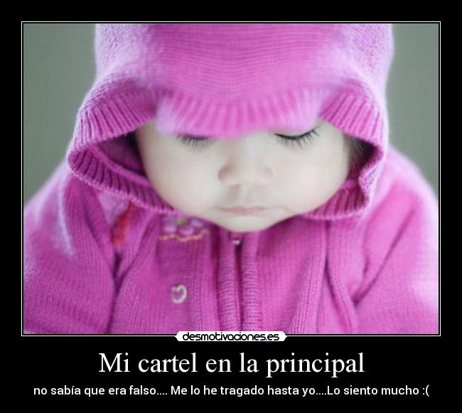 Mi cartel en la principal - 