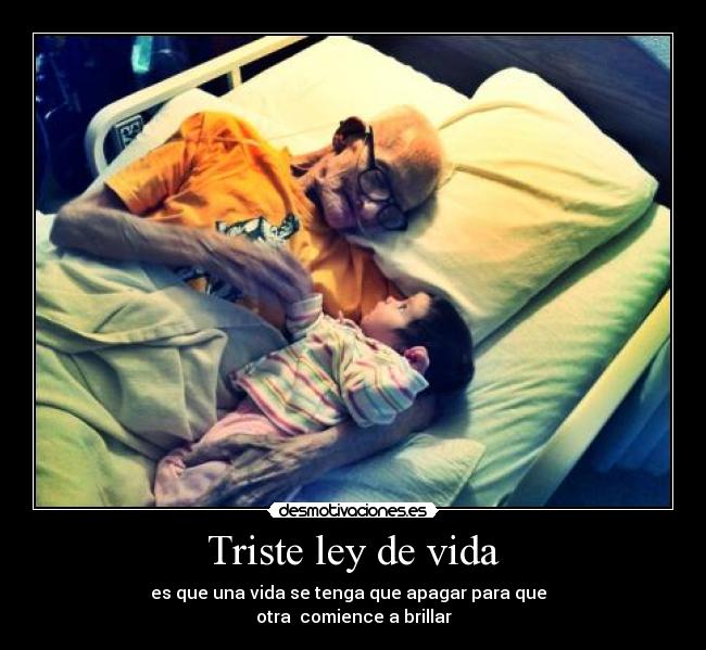 Triste ley de vida - 