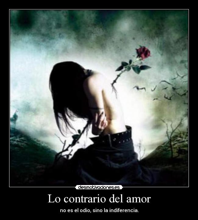 Lo contrario del amor - 