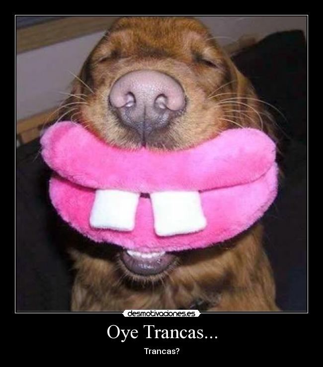 Oye Trancas... - Trancas?
