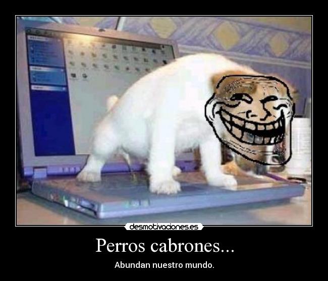 Perros cabrones... - 