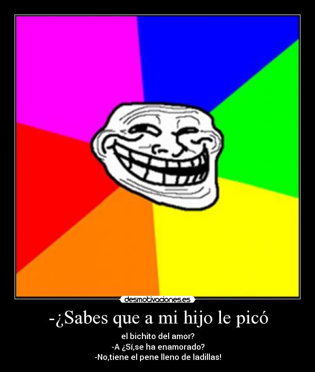 carteles gato desmotivaciones