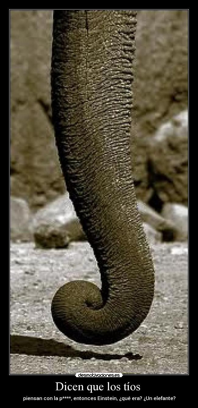 Dicen que los tíos - piensan con la p****, entonces Einstein, ¿qué era? ¿Un elefante?