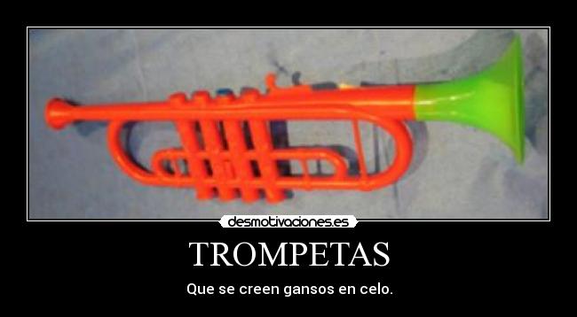 TROMPETAS - 