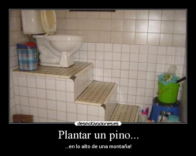 Plantar un pino... - 