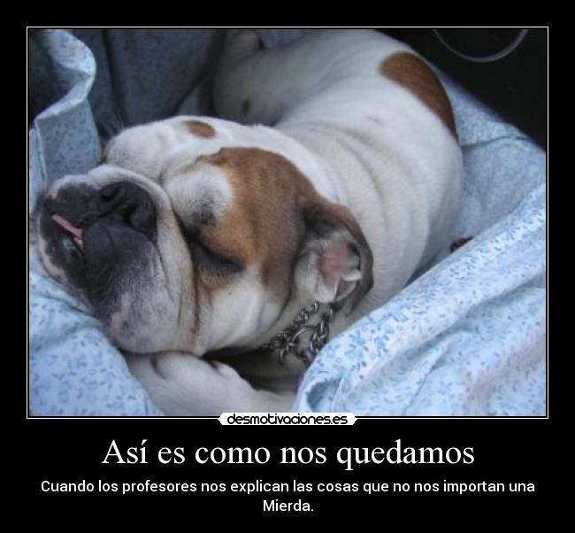 Así es como nos quedamos -