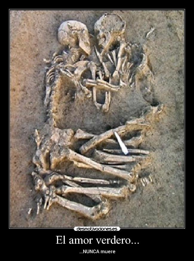 El amor verdero... - 