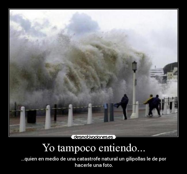 Yo tampoco entiendo... - 