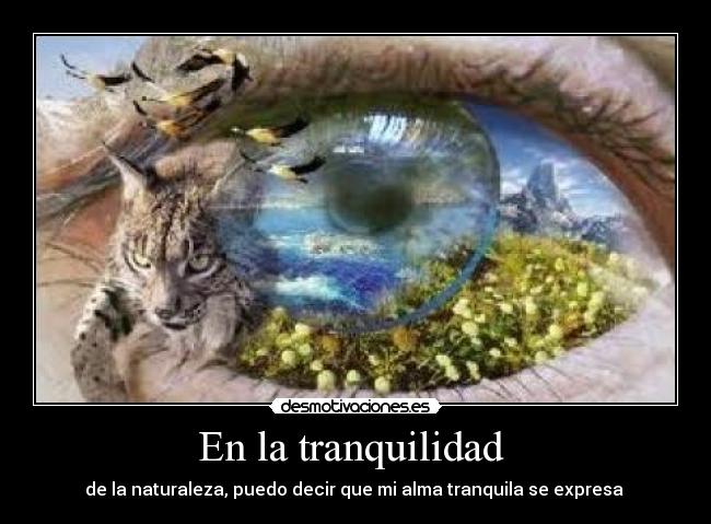 carteles tranquilidad desmotivaciones