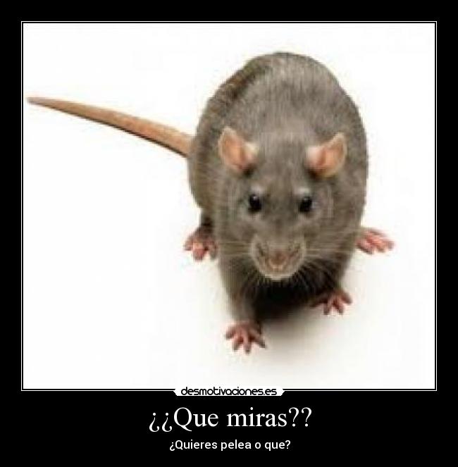 ¿¿Que miras?? -