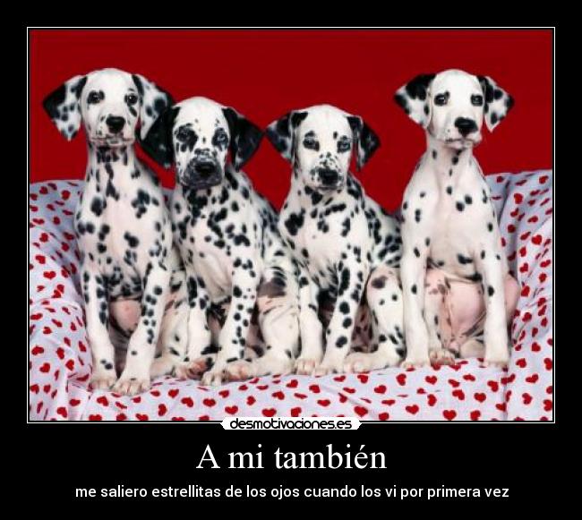 A mi también - me saliero estrellitas de los ojos cuando los vi por primera vez