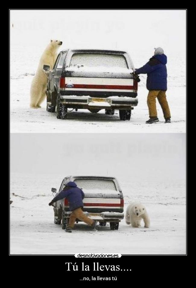 Tú la llevas.... - 