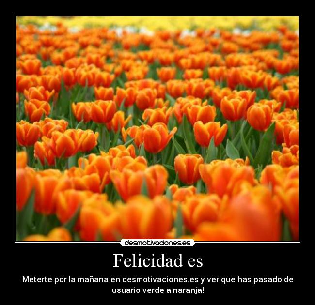 Felicidad es - Meterte por la mañana en desmotivaciones.es y ver que has pasado de
usuario verde a naranja!