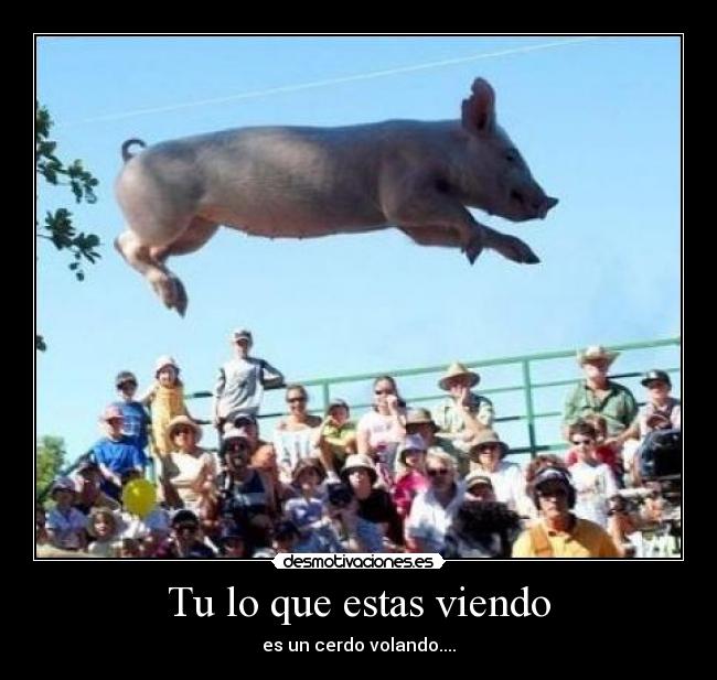 Tu lo que estas viendo - es un cerdo volando....