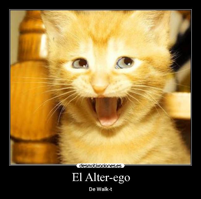 carteles motivado gato desmotivaciones