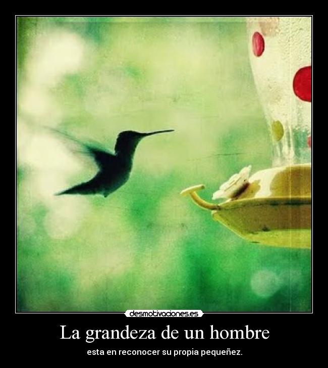 La grandeza de un hombre - esta en reconocer su propia pequeñez.