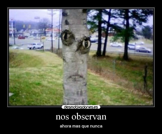nos observan -