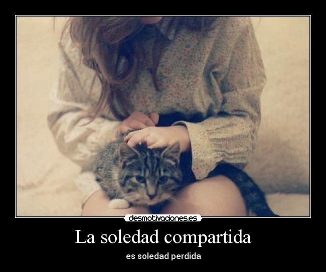 La soledad compartida - 