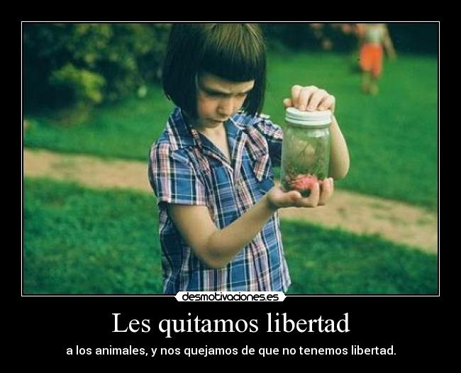 Les quitamos libertad -