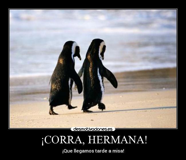 ¡CORRA, HERMANA! - 