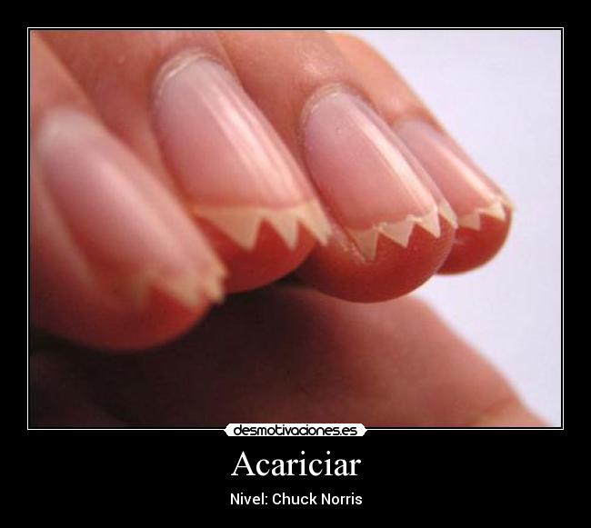 Acariciar - Nivel: Chuck Norris