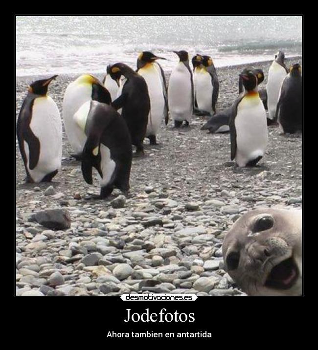 Jodefotos -