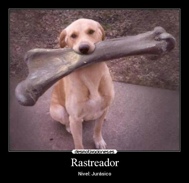 Rastreador - 