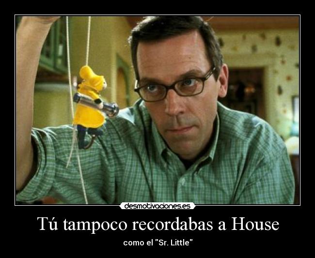 carteles house stuart little hugh laurie desmotivaciones