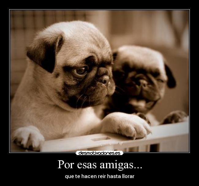 FOTO CHULAS foto chulas: